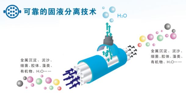 果博东方在线网页版